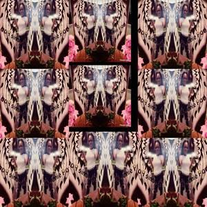 Meet your Posher, Kallie